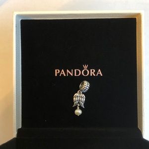 Angel Wings Dangle Charm